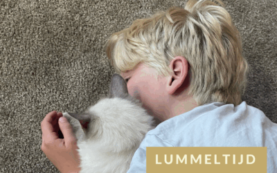 Lummeltijd