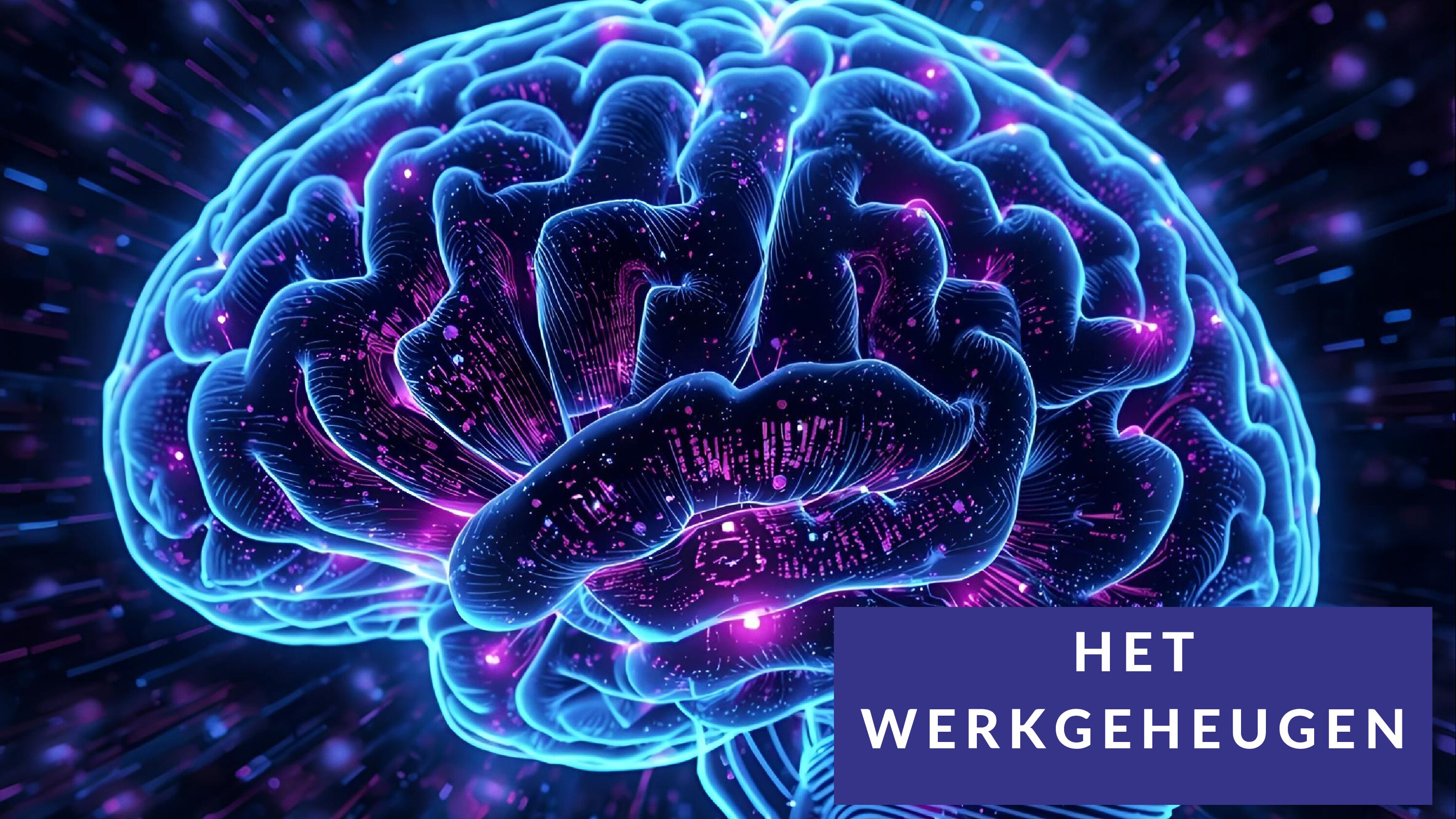 De ontwikkeling van het werkgeheugen